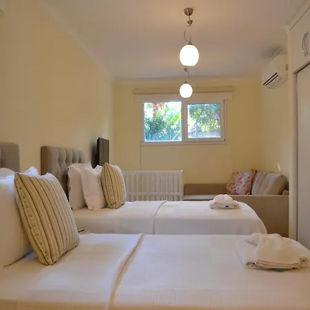 Olive 8 빌라 교젝