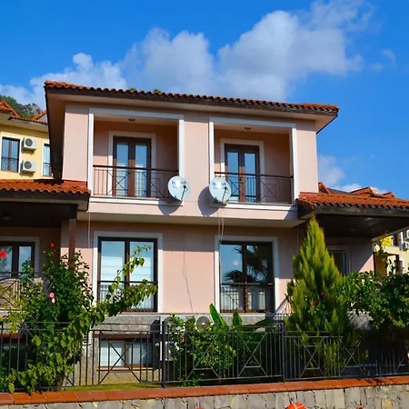 Vilă Olive 8