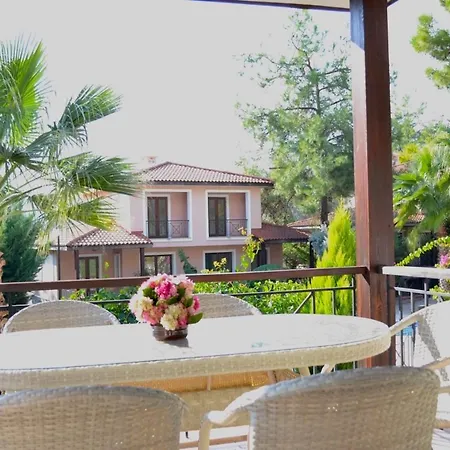 Villa Olive 8 *