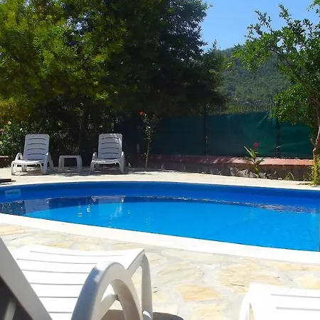 Villa Olive 8 *